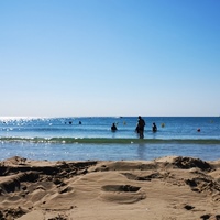 Photo de france - La plage de la Roquille et le Mango's Beach Bar